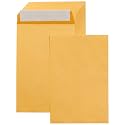 Amazon Basics Self Seal Catalog Envelopes for Business Mailing, Peel and Seal, 6" x 9", Brown Kraft, 100-Pack