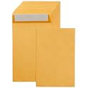 Amazon Basics Self Seal Catalog Mailing Envelopes for Documents, Peel and Seal, 6" x 9", Brown Kraft, 250-Pack