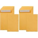 Amazon Basics Self Seal Catalog Mailing Envelopes for Documents, Peel and Seal, Brown Kraft, 250 Count, 6x9 inch (Pack of 2)