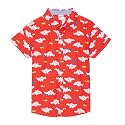 Amazon Brand - Jam &amp; Honey Boys' Button Down Shirt