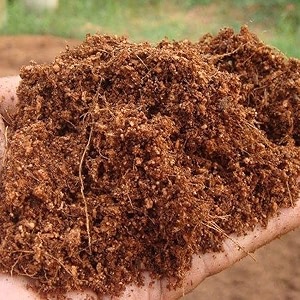 cocopeatagropeat powder 2 kilograms for all seeds amp plants vegetable garden grow seedlings hydroponics - ph-balanced expandable cocopeat powder pack of 2 kgs