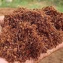 Cocopeat/Agropeat Powder 2 Kilograms for All Seeds & Plants, Vegetable Garden, Grow Seedlings, Hydroponics - Ph-Balanced Expandable Cocopeat Powder Pack of 2 Kgs
