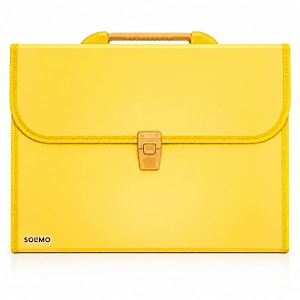 amazon brand - solimo plastic expanding file folder with 13 pockets handle and buckle closure for a4 size documents yellow