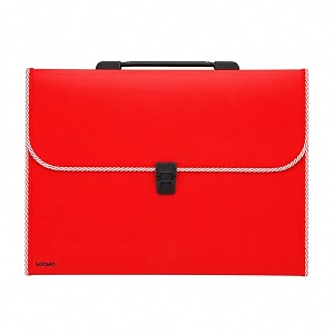 amazon brand - solimo plastic expanding file folder with 13 pockets handle and buckle closure for a4 size documents red