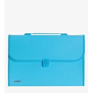 amazon brand - solimo plastic expanding file folder with 13 pockets handle and buckle closure for a4 size documents blue