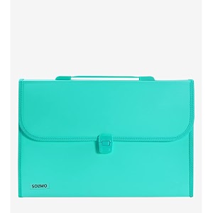 amazon brand - solimo plastic expanding file folder with 13 pockets handle and buckle closure for a4 size documents green
