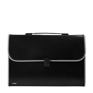 amazon brand - solimo expanding file folder with 13 pockets handle and buckle closure for a4 size documents black