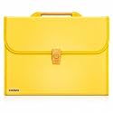 Amazon Brand - Solimo Plastic Expanding File Folder with 13 Pockets, Handle, and Buckle Closure, for A4 Size Documents (Yellow)