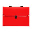 Amazon Brand - Solimo Plastic Expanding File Folder with 13 Pockets, Handle, and Buckle Closure, for A4 Size Documents (Red)
