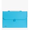 Amazon Brand - Solimo Plastic Expanding File Folder with 13 Pockets, Handle, and Buckle Closure, for A4 Size Documents (Blue)