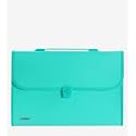 Amazon Brand - Solimo Plastic Expanding File Folder with 13 Pockets, Handle, and Buckle Closure, for A4 Size Documents (Green)