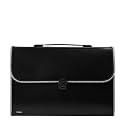 Amazon Brand - Solimo Expanding File Folder with 13 Pockets, Handle, and Buckle Closure, for A4 Size Documents (Black)