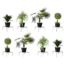 Amazon Brand - Solimo Metal Flower Pot