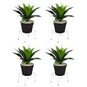 Amazon Brand - Solimo Metal Flower Pot