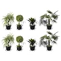 Amazon Brand - Solimo Metal Hanging Flower Pot Holder (Black, Set of 8) | Railing Potted Metal Plant Stand for Home Balcony Décor