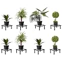 Amazon Brand - Solimo Premium Metal Flower