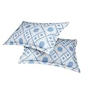 Amazon Brand – Umi 144 TC 100% Cotton Printed Pillow Case | Pack of 2 | Breathable and Skin Friendly| Oeko-Tex Certified | Radiance