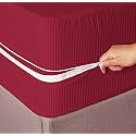 Amazon Brand - Umi Premium Cotton 220TC 78 x 60 x 8 Luxury Double Size Mattress Cover Protector with Zip/Chain|Provides All Around Protection - 1 pc Multicolor (Beige, 78 x 60 x 8)