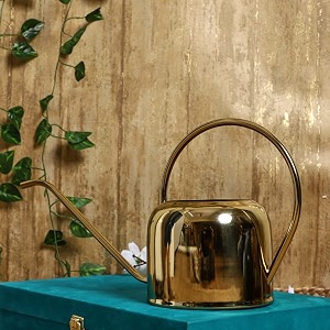 amazon brand - umi shiny gold long spout plant watering can handcrafted  best for home gardening  gardening tool water can sprayer  gardeners choice 17l capacity pack of 1