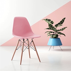 amazon brand - umi styliest modern armless side chairs molded abs plastic with wood amp black accents dining chair pink color