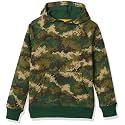 Amazon Essentials Boys and Toddlers' Fleece Pullover Hoodie Sweatshirts