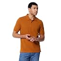 Amazon Essentials Men's Regular-Fit Cotton Pique Polo Shirt