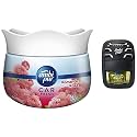 Ambi Pur Car Freshener Gel, Romantic Rose, 75 g