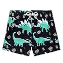 American Trends Boys Swim Trunks Toddler Swim Shorts Bathing Suit Kids Swimsuit Youth Swimwear