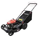 AMERISUN Self Propelled Gas Lawn Mower 21