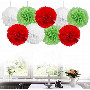 amfin 18 pcs 1034 tissue paper pom pom flower balls for birthday wedding party anniversary welcome baby shower decorations - light green red amp white