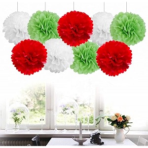 amfin 9 pcs 1034 tissue paper pom pom flower balls for birthday wedding party anniversary welcome baby shower decorations - light green red amp white