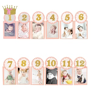 amfin first year birthday photo bannermonthly photo banner 12 months - pink