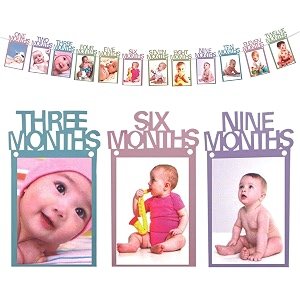 amfin first year birthday photo bannermonthly photo banner multicolor