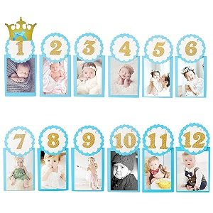 amfin first year birthday photo bannermonthly photo banner 12 months - blue