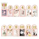 AMFIN® First Year Birthday Photo Banner/Monthly Photo Banner (12 Months) - Pink