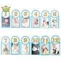 AMFIN® First Year Birthday Photo Banner/Monthly Photo Banner (12 Months) - Blue