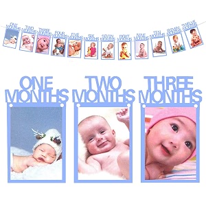 amfin photo banner for first birthdayfirst year birthday photo bannermonthly photo banner 12 months