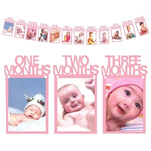 amfin  photo banner for first birthdayfirst year birthday photo bannermonthly photo banner 12 months pink