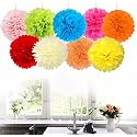 AMFIN® Colorful Tissue Paper Pom Pom Balls – Hanging Flower Decorations for Birthday, Wedding, Baby Shower, Garden &amp; Party Decor -Set of 9 (10-Inch Each)