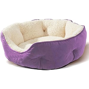 amica velvet dog bed cat beds for indoor cats pet bed for puppy and kitty extra soft amp machine washable with anti-slip amp water-resistant oxford bottom medium purple