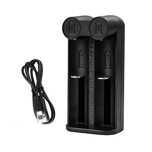 amicismart intelligent battery charger dual slot charger
