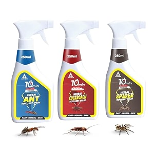 amish combo pack herbal ant cockroach amp spider spray 250ml for home kitchen ants amp cockroach spider10 minutes formularemoves entire colonypowerful 100 organic repellent