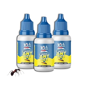 amish herbal ant gel pack of 3  10 min max bait formula  powerful organic repellent amp cleaner  removes red rekha laxman antox pests  natural dawa protector for home amp kitchen