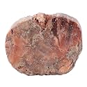 Amogeeli Natural Petrified Wood Slice Stone Specimen for Collection, Irregular Mineral Crystal Decoration for Home & Office, Small