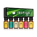 &amp;J Fragrance Oil Tropical Set | Banana, Coconut, Awapuhi and Seaberry, Pineapple, Mango, Ocean Breeze Candle Scents for Making, Freshie Scent, Soap Making Supplies, Diffuser