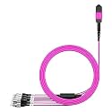 AMPCOM MPO to FC Breakout Cable 50/125μm Multimode OM4(8 Fiber, MPO to FC, Type B, LSZH/Riser, UPC, Magenta) 2m (6ft)