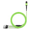 AMPCOM MPO to FC Breakout Cable 50/125μm Multimode OM5(8 Fiber, MPO to FC, Type B, LSZH/Riser, UPC, Lime Green) 20m (65.5ft)