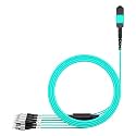 AMPCOM MPO to FC Breakout Cable 50/125μm Multimode OM3-300(8 Fiber, MPO to FC, Type B, LSZH/Riser, UPC, Aqua) 10m (32ft)