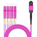 AMPCOM MPO to LC Breakout Cable 50/125μm Multimode OM4(8 Fiber, MPO to LC, Type B, LSZH/Riser, UPC, Magenta) 25m (82ft)