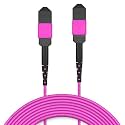 AMPCOM MPO to MPO Trunk Cable 50/125μm Multimode OM4 (8 Fiber, MPO to MPO Female, Type B, LSZH/Riser, UPC, Magenta) 40m (131ft)